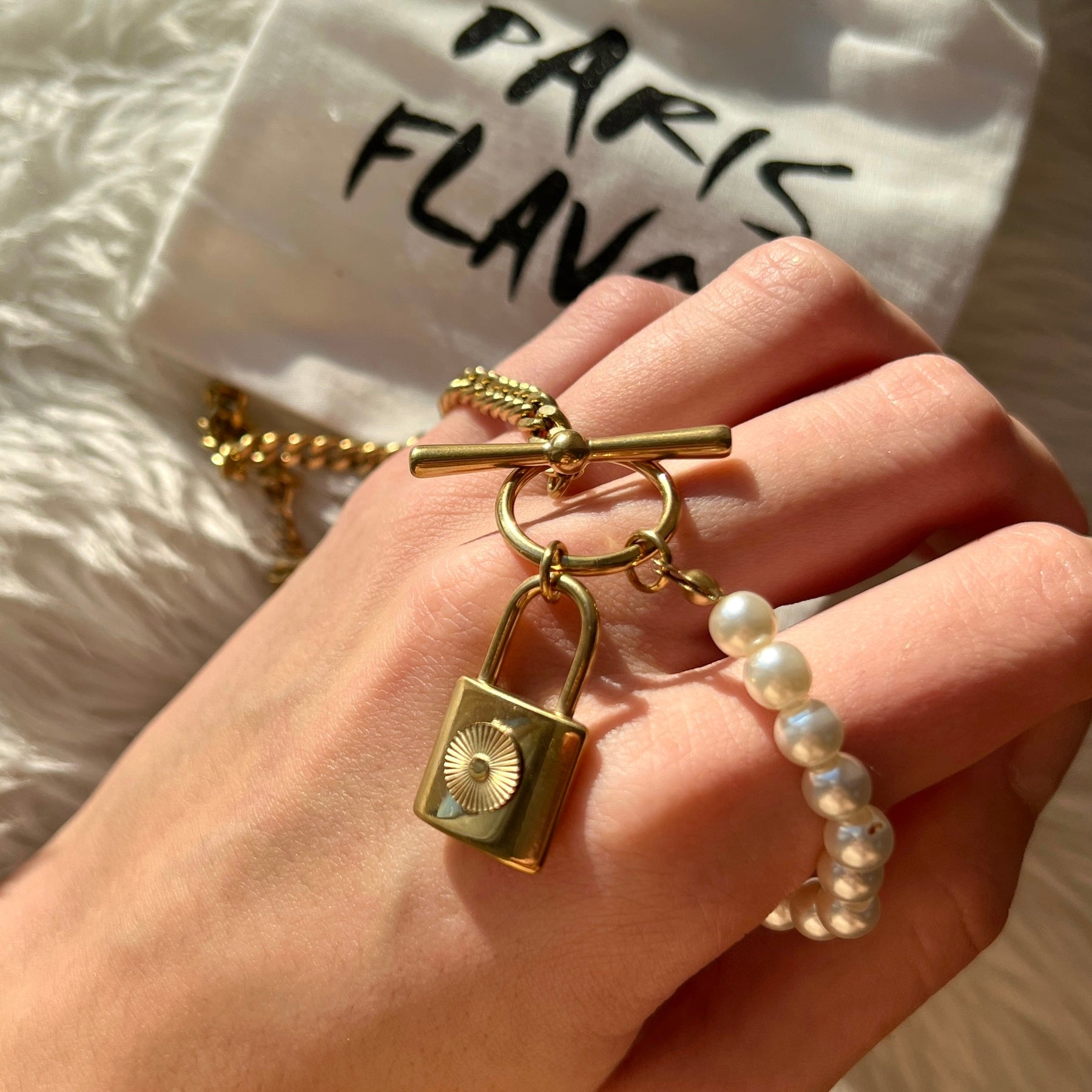 Collier Locker avec Cadenas