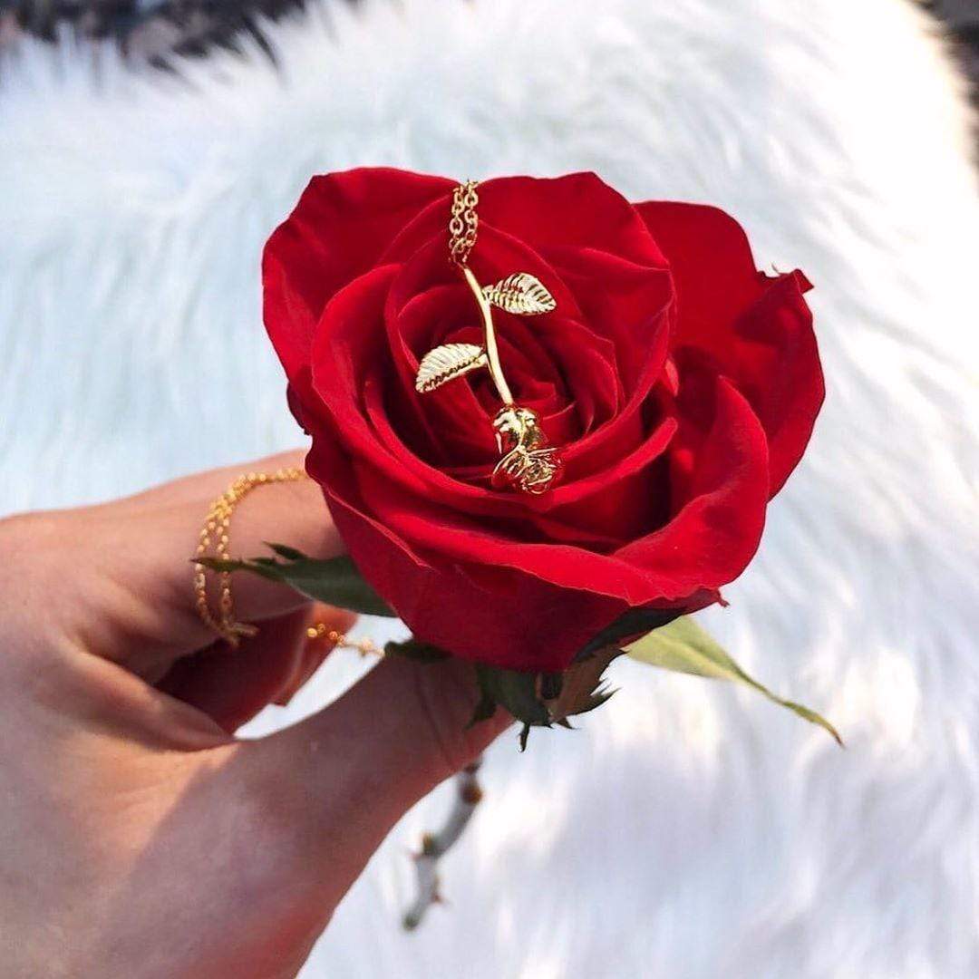 Collier Rosa